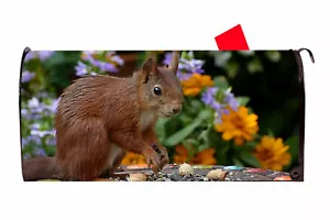 Squirrel Vinyl Magnetic Mailbox Cover Made in the USA - Picture 1 of 1