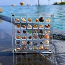 Compact Acrylic Seashell Display Box with Magnetic Closure Diamond Storage Box