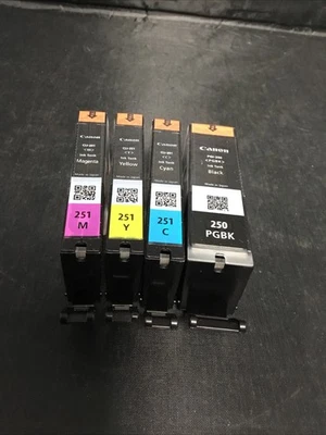 Подлинный Canon PGI-250 черный и CLI-251 стандарт C/M/Y цвет чернил 4 упаковки - Изображение 1 из 3