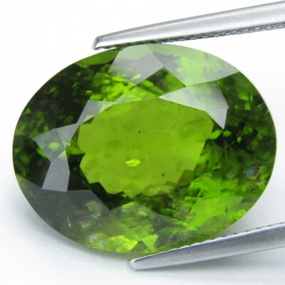 22.40Cts Excellent Natural Green Peridot Nice Oval Shape Collection Gemstone - Image 1 of 4