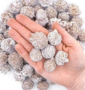 1 kleine Wüstenrose Gips Sand Selenit Rose Edelstein Kristall Felsen Baryt - Bild 1 von 8