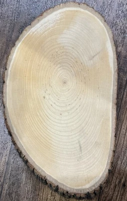 VINTAGE WALNUT HOLLOW FARM BASSWOOD COUNTRY PLANK ROUND WITH BARK - Photo 1/4