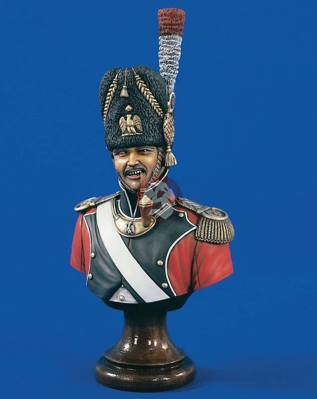 Verlinden 200mm (1/9) Swiss Grenadier Officer Bust (Napoleonic era) [Resin] 1576 - Image 1 of 1