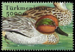 TURKMENISTAN 89a - Common Teal "Anas crecca" (pb63691) - Picture 1 of 1