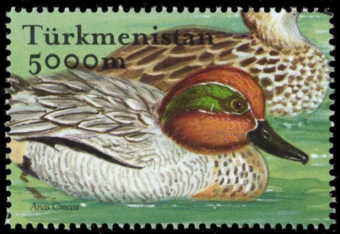 TURKMENISTAN 89a - Common Teal "Anas crecca" (pb63691) Cover