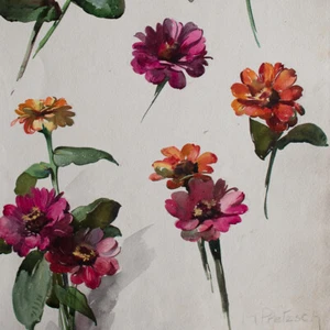 Hans Pretzsch Zinnien flores estudio floral firmado acuarela alrededor de 1900 - Imagen 1 de 4