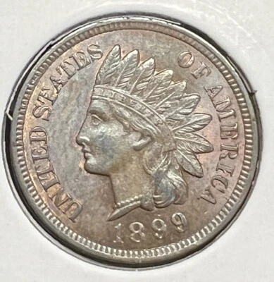 1899 INDIAN HEAD CENT GRADES CHOICE UNCIRCULATED ACTUAL COIN #4198 - Image 1 of 2