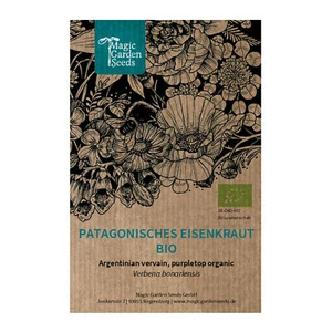 Patagonisches Eisenkraut (Verbena bonariensis) Bio - ca. 200 Samen - Bild 1 von 7