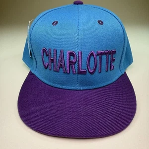 Charlotte Snapback Mütze türkis lila Retro Hornissen Farben Kappe neu mit Etikett - Bild 1 von 12