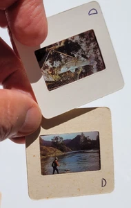 9 vintage 35mm slides, Fishing, late 1970s-early 1980s, trout, salmon, bass - Picture 1 of 6