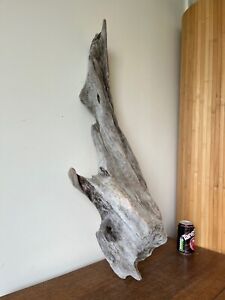 Driftwood Piece, heavy silver pillar Bogwood for vivarium, or Display