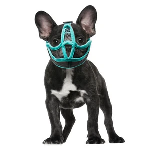 Short Snout Dog Muzzle Mesh Adjustable Breathable Anti Biting Bulldog Short Gfl - Picture 1 of 12