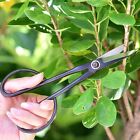 With Long Handle For Garden Flower Scissors Pruning Tools Shears Bonsai Tool