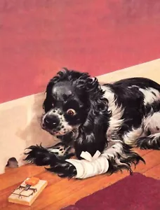 COCKER SPANIEL MEISTER MAUSENFALLE SCHWIERIGER BEZAUBERNDER HUND COMIC GRUSS NOTIZKARTE - Bild 1 von 1