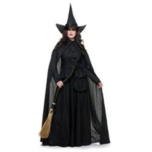 Rubies 409136 Wicked Witch Adult Costume - Large - Image 1 of 1
