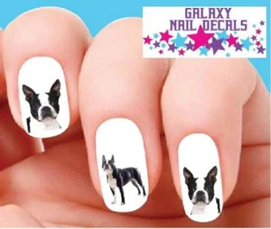 Wasserrutsche Hund Nagel Aufkleber - 20er Set Boston Terrier sortiert - Bild 1 von 1