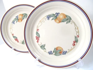 2 Corelle Abbondanza Pranzo Sabbia Insalata Piatto 8 1/2" Bacche Frutta Vintage - Foto 1 di 7