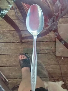 Superior Stainless USA International Silver Radiant Rose 1 replacm Serving Spoon - Picture 1 of 3