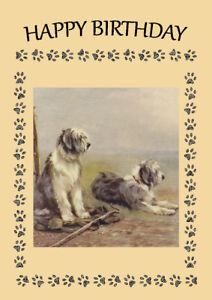 BEARDED COLLIE TWO DOGS GREAT DOG  BIRTHDAY GREETINGS NOTE CARD 