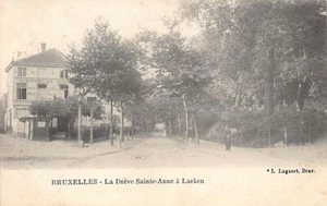 Belgique - LAEKEN Laken (Bruxelles) La Drève Ste-Anne - Estaminet Au Lion Belge - Picture 1 of 2