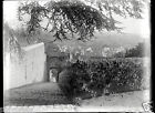 Paysage sud France baux de provence ? ancien négatif verre photo - an. 1910 1920
