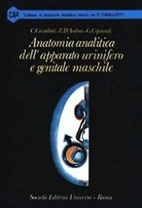 C. Cavallotti – Anatomia analitica dell’apparato urinifero e genitale maschil... - Imagen 1 de 1