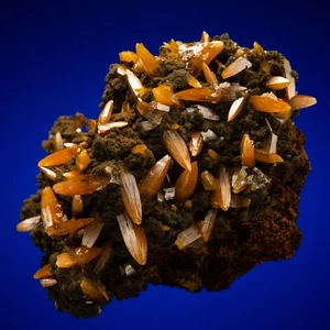 Mina Wulfenite Ojuela, Mapimi, Municipio de Mapimi, Durango, México 2303-254 - Imagen 1 de 6