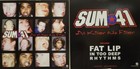 Sum 41 2001 All Killer 2 sided promotional poster Flawless New Old Stock
