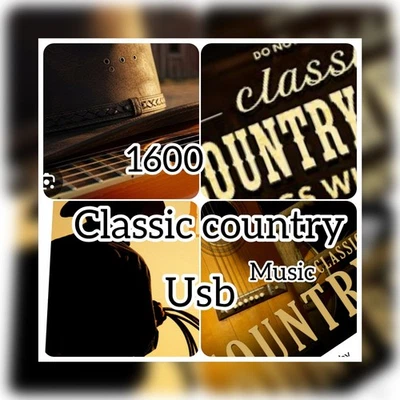 1600 classic country music Usb Flash Drive  - Image 1 of 3