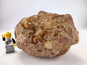 4" Geoda Nódulo Sin Abrir Todo Kentucky Cuarzo Cristal 1.4 LB Compra 1 Obtén 1 Gratis - Imagen 1 de 8