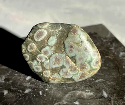 superbe Variolite 25 mm roche volcanique brute naturelle minéraux pierre fine - Photo 1/2