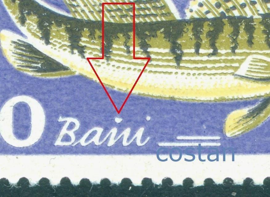 1960 Fish,Zander,Sander/Lucioperca lucioperca,Fische,Romania,Mi.1928,ERROR/1/VFU - Image 1 of 2