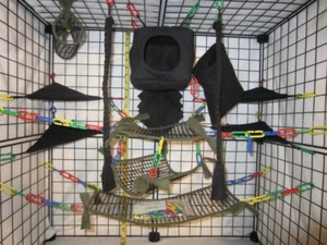 15 tlg - Würfelwald grün Netz Zuckergleiter Käfig Set | Zuckergleiter Zubehör - Bild 1 von 2