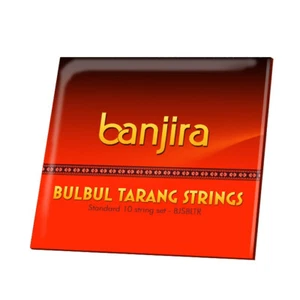 New Bulbul Tarang, 10 Steel Strings Full Replacement Set - Picture 1 of 1
