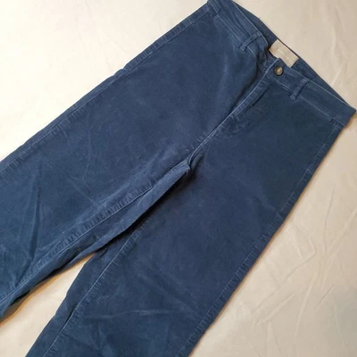 Everlane 女式 6 码直筒灯芯绒裤子蓝色 — 第 1/4 张图片