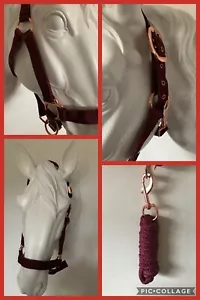 Set collare e corda di piombo, oro rosa e bordeaux, COB, spedizione gratuita Regno Unito - Foto 1 di 5