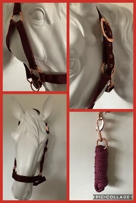 Headcollar and Lead Rope Set, Rose Gold & Burgundy, FULL, FREE UK Postage - Image 1 of 4