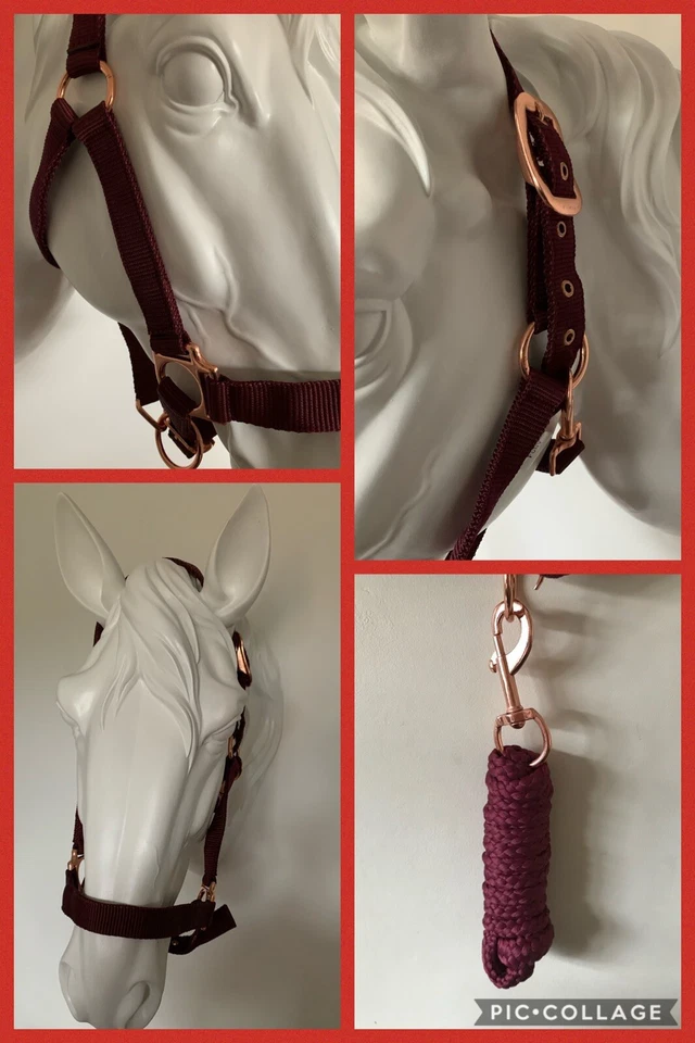 Headcollar and Lead Rope Set, Rose Gold & Burgundy, COB, FREE UK Postage - Image 1 of 4