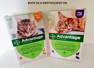 ADVANTAGE¹ Chat 40/ 80 anti puce flea treatment 1 a 8 kg EXCLUSIF 6 SPOT ON - Zdjęcie 1 z 15