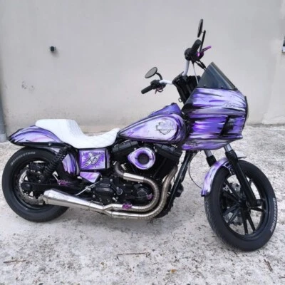 Protech Exhaust 2 In 1 Harley-Davidson Dyna Superglide Low Rider Street Bob  - Image 1 of 4