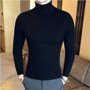 Suéter Suéter Informal Cuello Alto Tejido Para Hombre Cálido Hombres Pullovers Prendas para el torso - Imagen 1 de 20