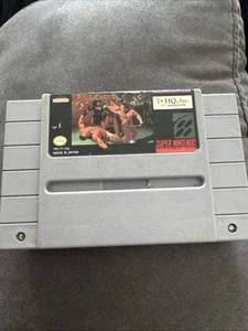 Pit-Fighter (Super Nintendo Entertainment System, 1992) SNES Game Cart - Tested - Picture 1 of 2
