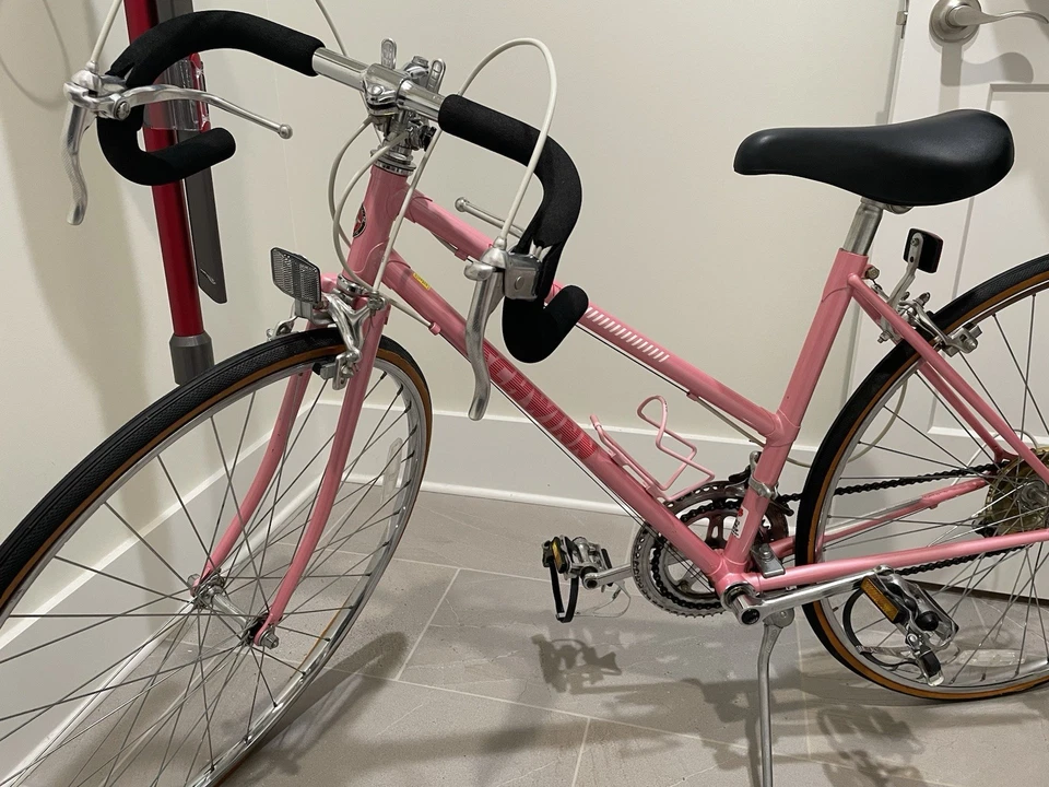 Cuadro Schwinn Caliente 17" de colección, rosa, bicicleta de 12 velocidades totalmente original, único dueño Foto 1 de 4