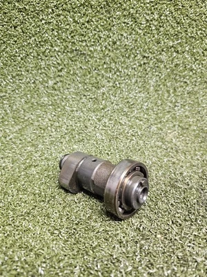 Yamaha Grizzly 350 Raptor Wolverine 350 2008 motor OEM árbol de levas cámara Foto 1 de 4