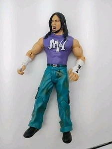 Figura de lucha libre WWE Ruthless Aggression Matt Hardy serie 7 Jakks  - Imagen 1 de 2