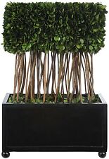 Uttermost Preserved Boxwood Rectangular Topiary - 60188