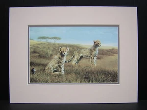 Charles Frace Recess Cheetah Kittens Matted Mini Art Print - Picture 1 of 1