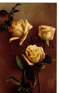 Tarjeta postal vintage 1908 Binghamton Nueva York saludo flor rosa tuck - Imagen 1 de 2