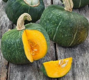 Buttercup Squash Seeds |Green Pumpkin Asian Japanese Kabocha Vegetable Seed 2025 - Picture 1 of 12