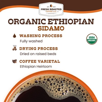 Sidamo etíope | Café orgánico de origen único | Café tostado fresco Foto 1 de 4